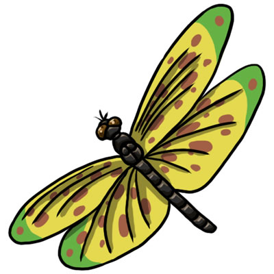 25 FREE Dragonfly Clip Art Drawings and Colorful Images.