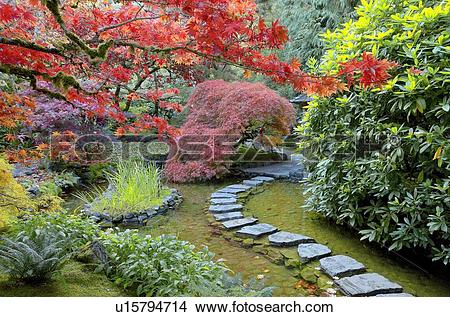 Stock Photo of Fall colour, the Japanese Garden, Butchart Gardens.