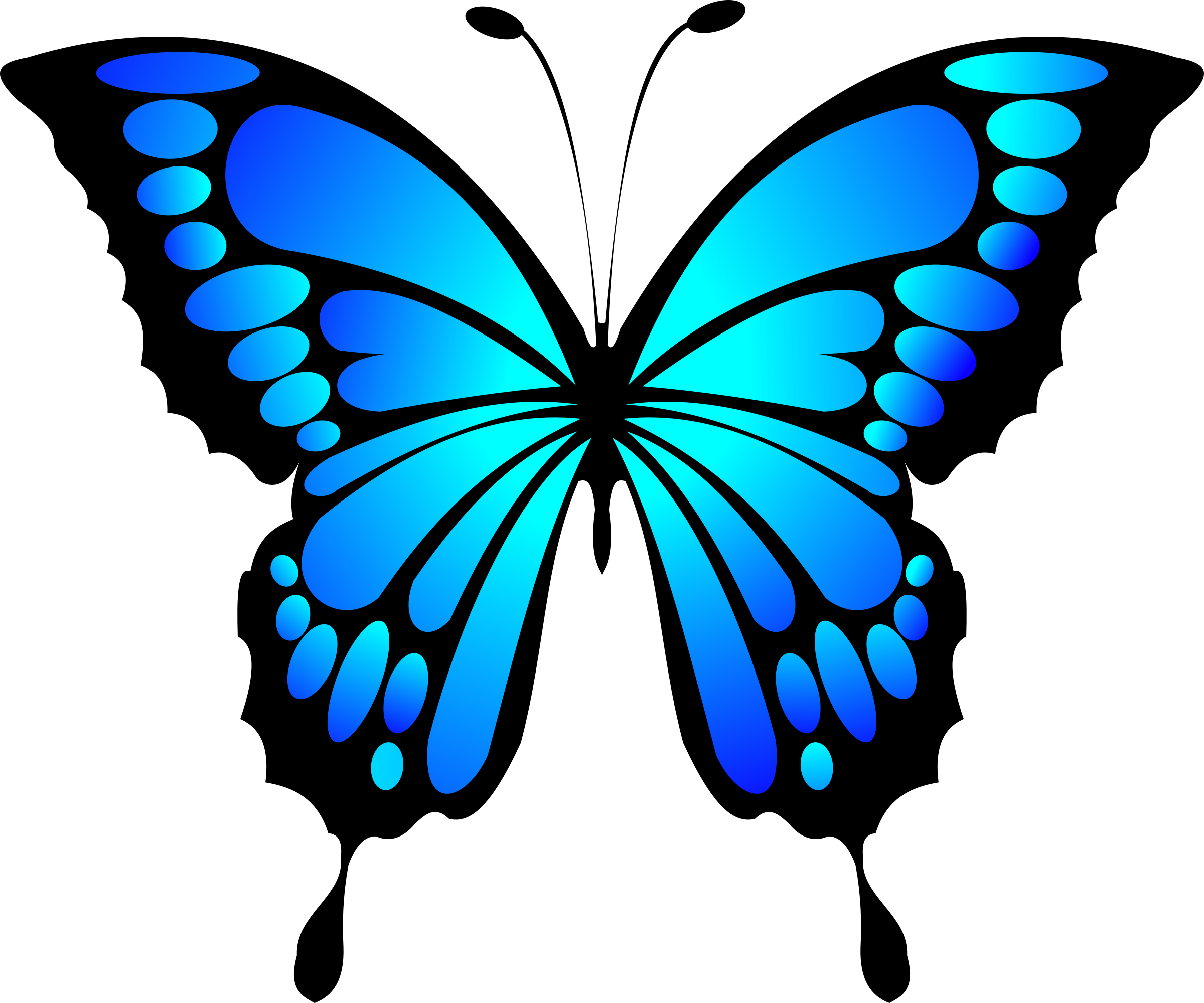 HD Blue Butterfly Cliparts The Cliparts.