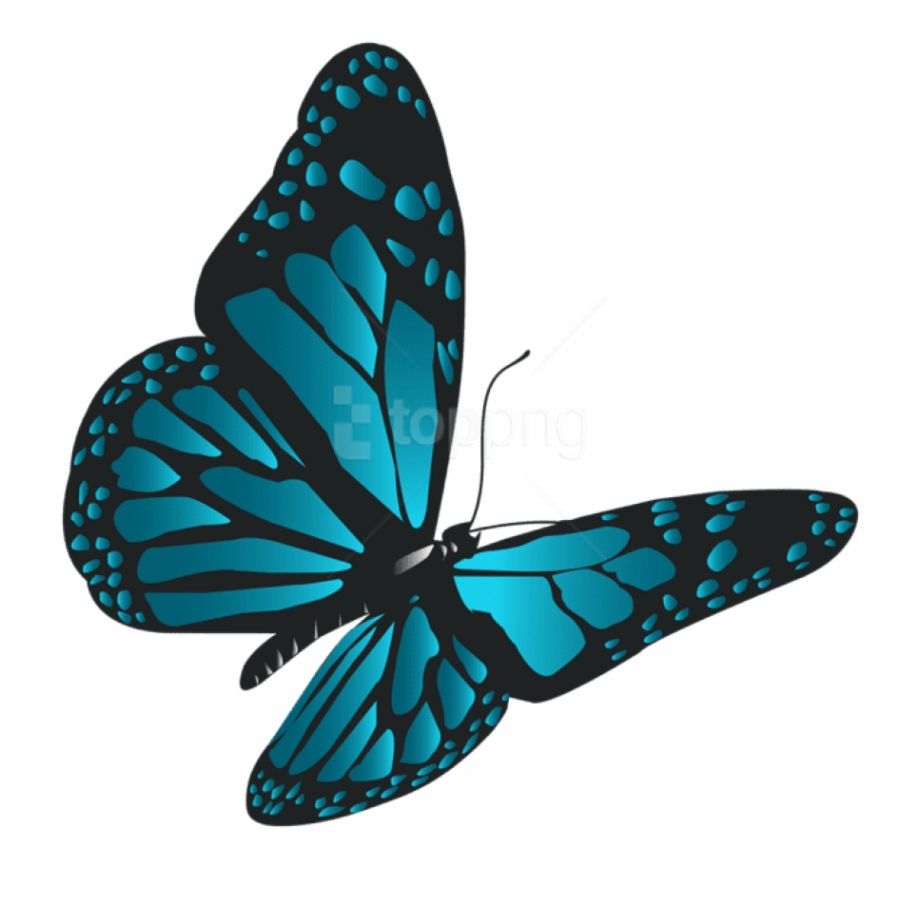 Free Png Download Blue Butterfly Png Clipart Png Photo.