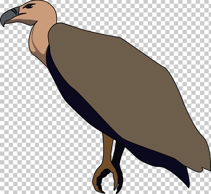 Beaky Buzzard Turkey Vulture PNG, Clipart, Beak, Beaky.