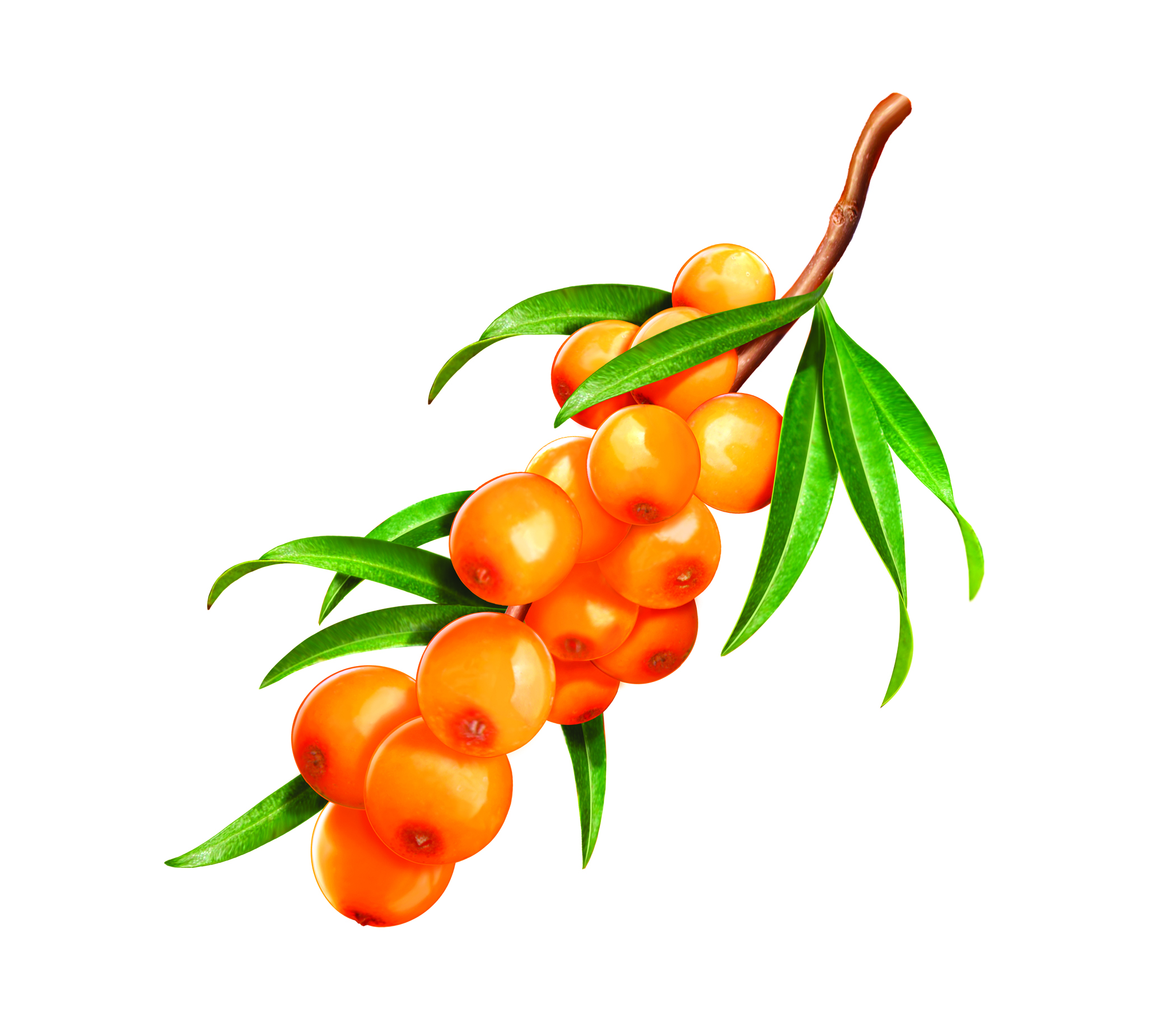 Sibu Beauty's Line of Sea Buckthorn Berry.