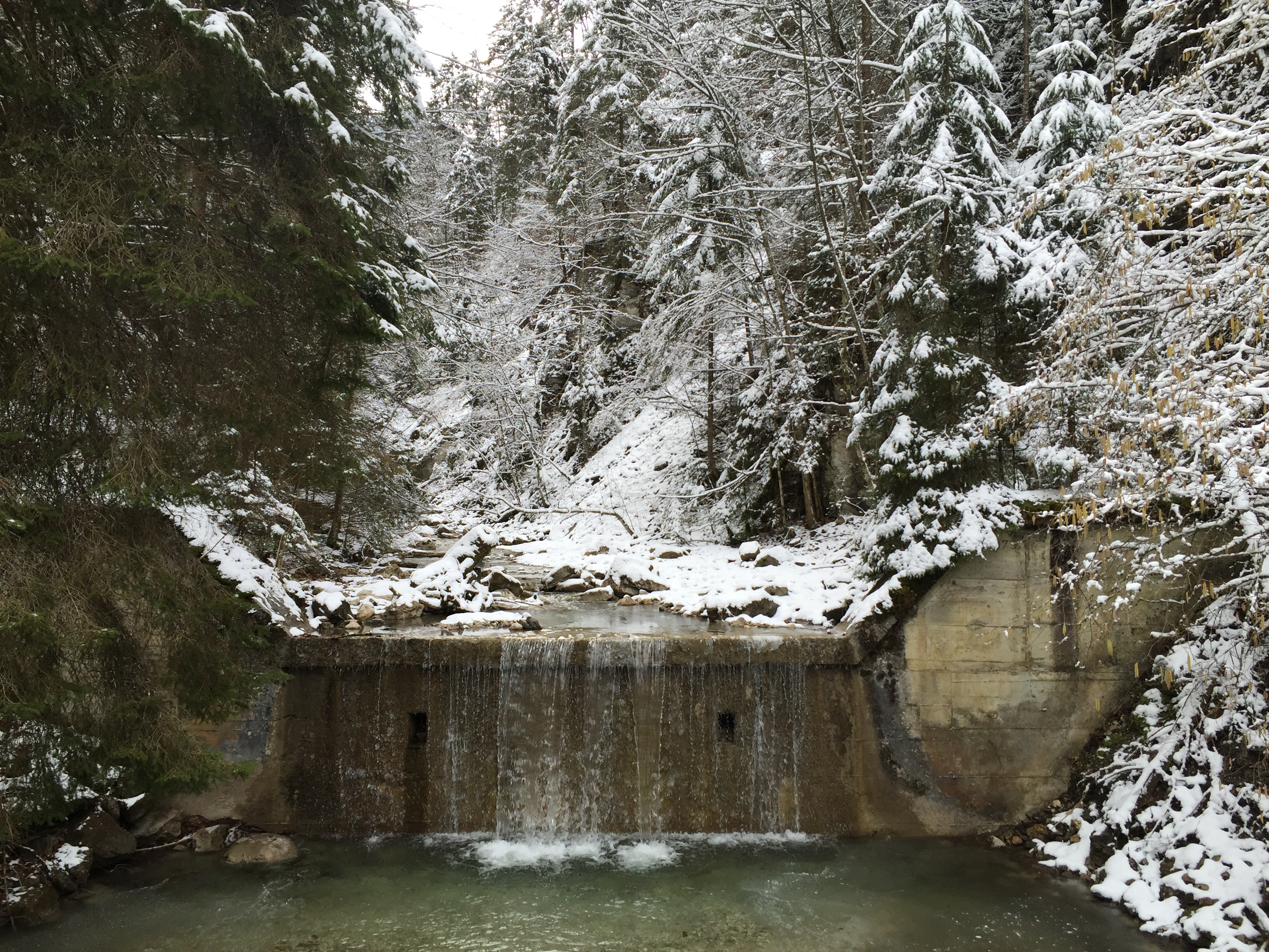 Ein Ausflug im „Winter“.