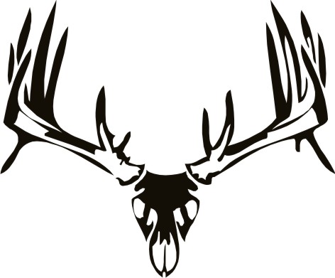 Showing post & media for Deer skull cartoon.