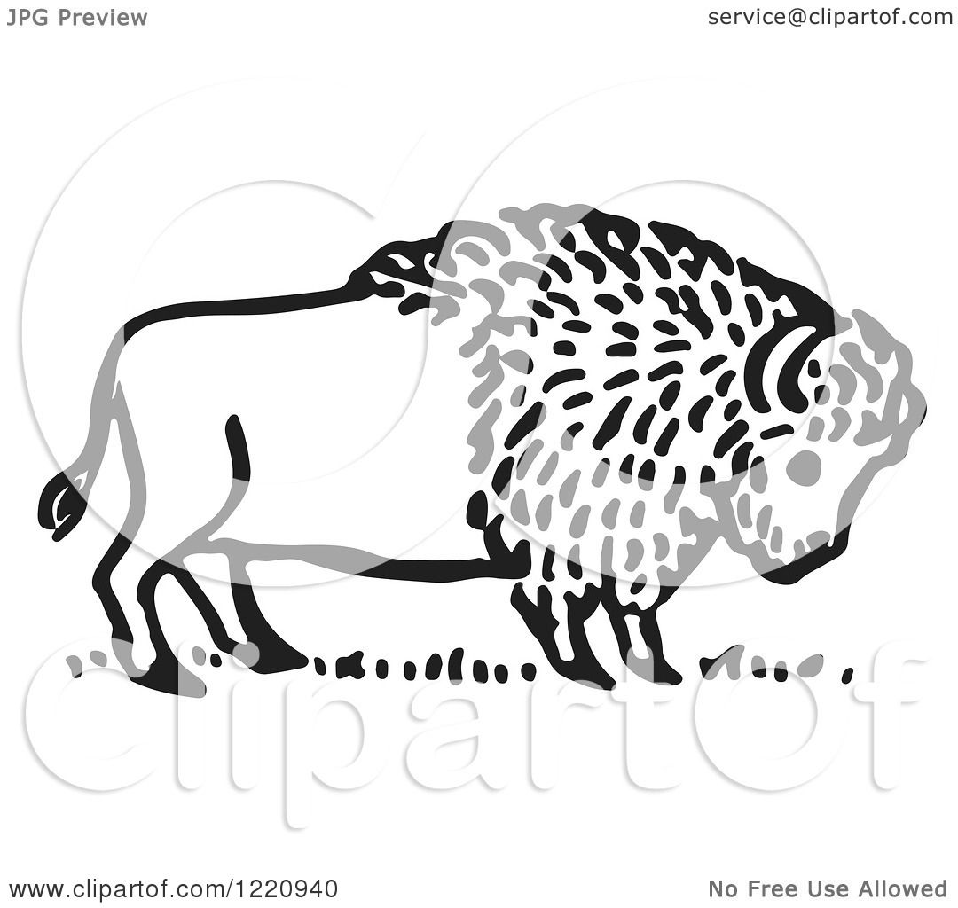 Clipart of a Black and White Buffalo.