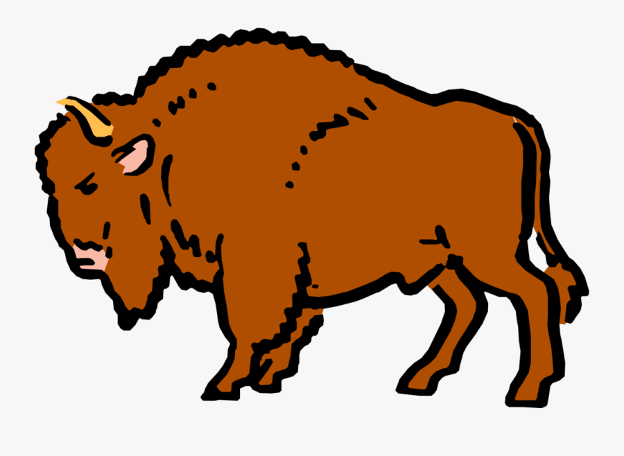 Cartoon Buffalo.