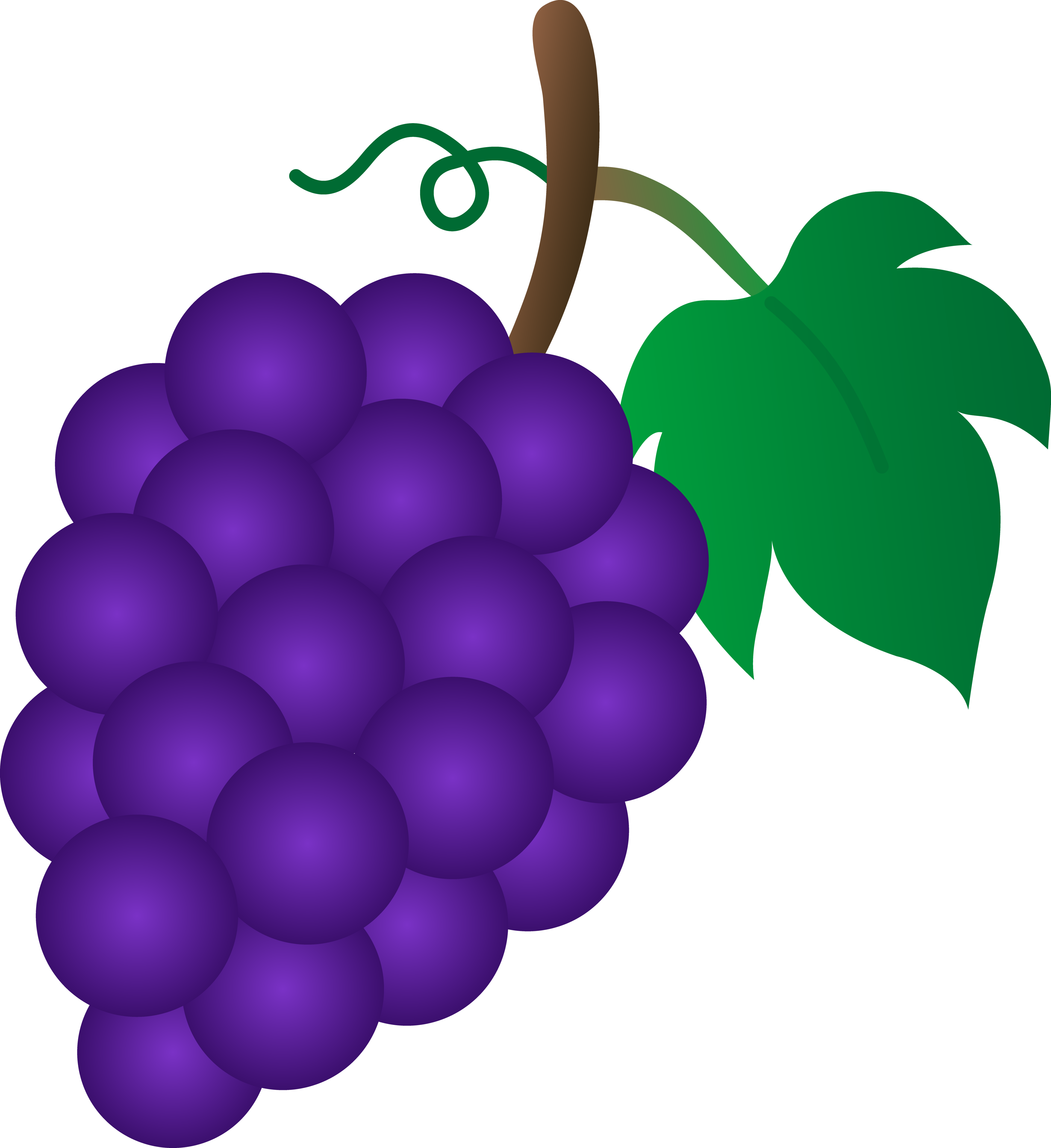 Grape bunch clipart.