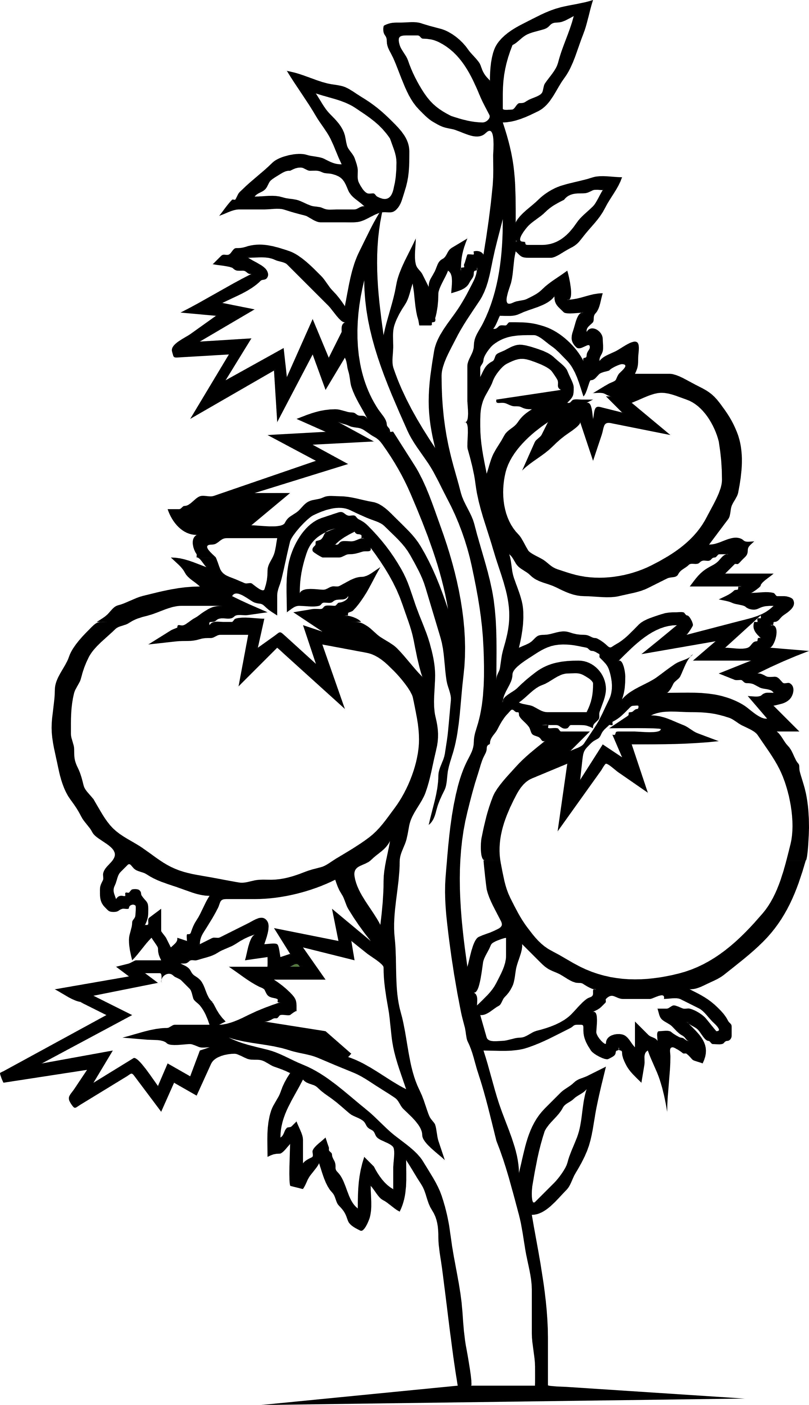 Tomato tree clipart.