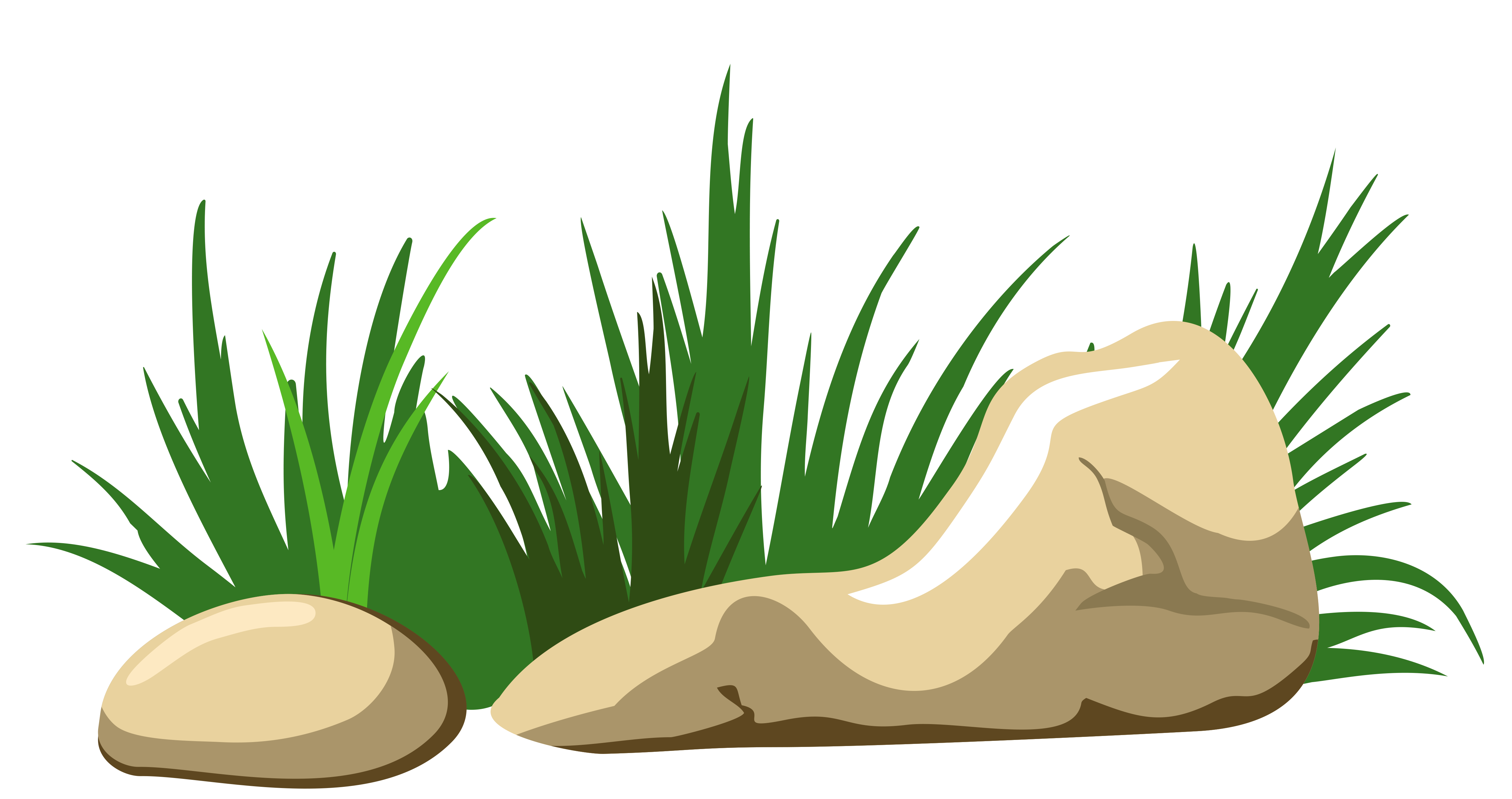 Bush grass clipart.