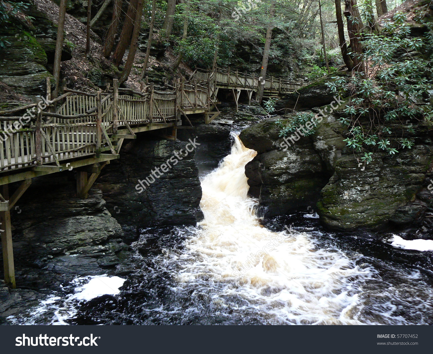 Bush Kill Falls Penn Usa Stock Photo 57707452 : Shutterstock.