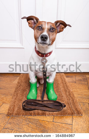 To Go Walkies Stock Photos, Royalty.