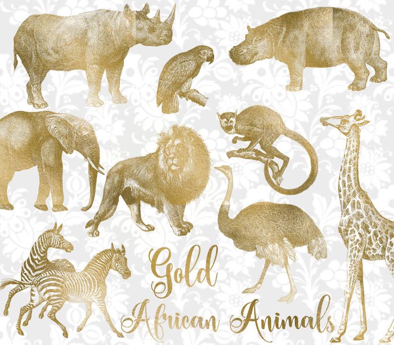 Vintage Gold African Animals Clipart, antique safari illustrations, png  clip art, elephant, lion, giraffe digital download, commercial use.