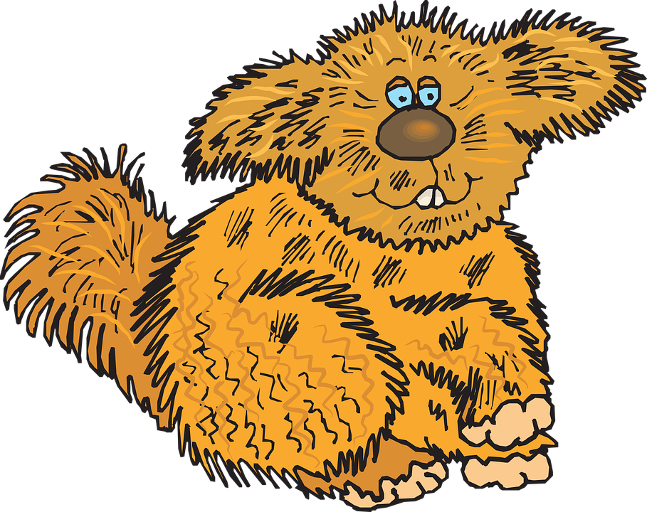 Free vector graphic: Hair, Animal, Creature, Fuzzy, Fur.