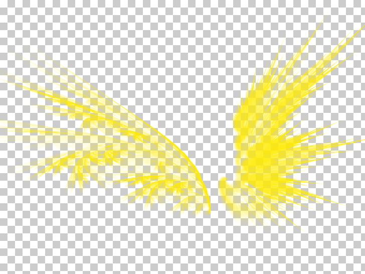 Graphic design Yellow Pattern, Golden wings PNG clipart.