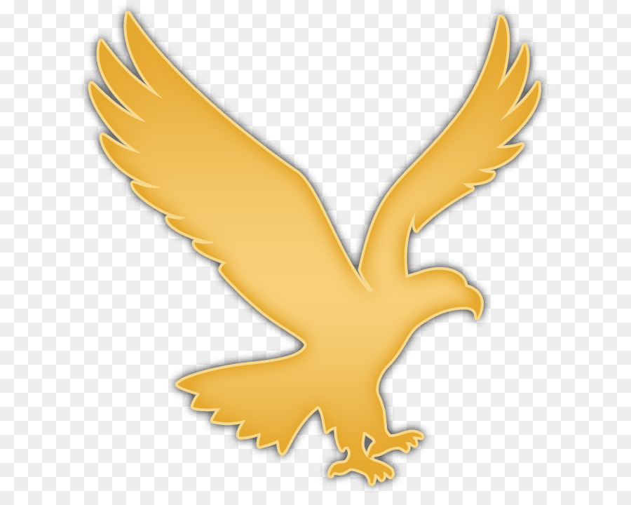 Eagle Bird png download.