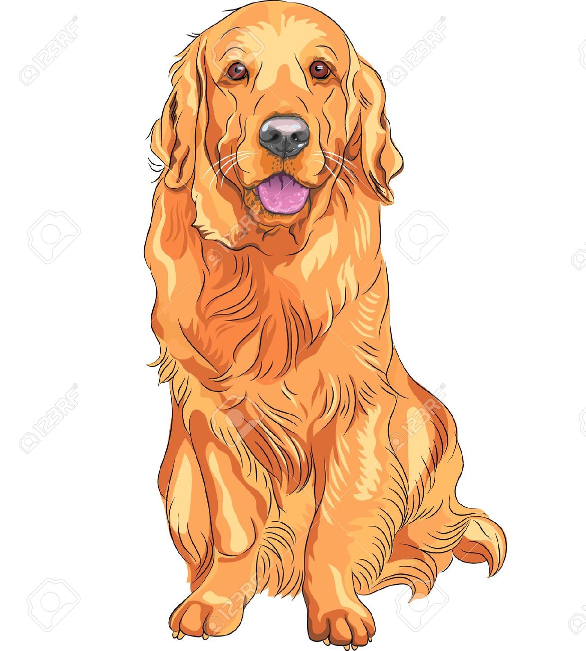 Golden retriever clipart.