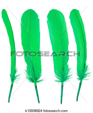 Green Goose Clipart.