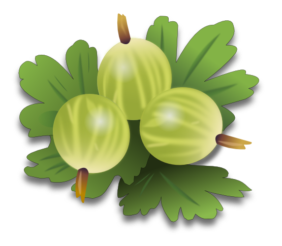 Free Green Gooseberries Clip Art.