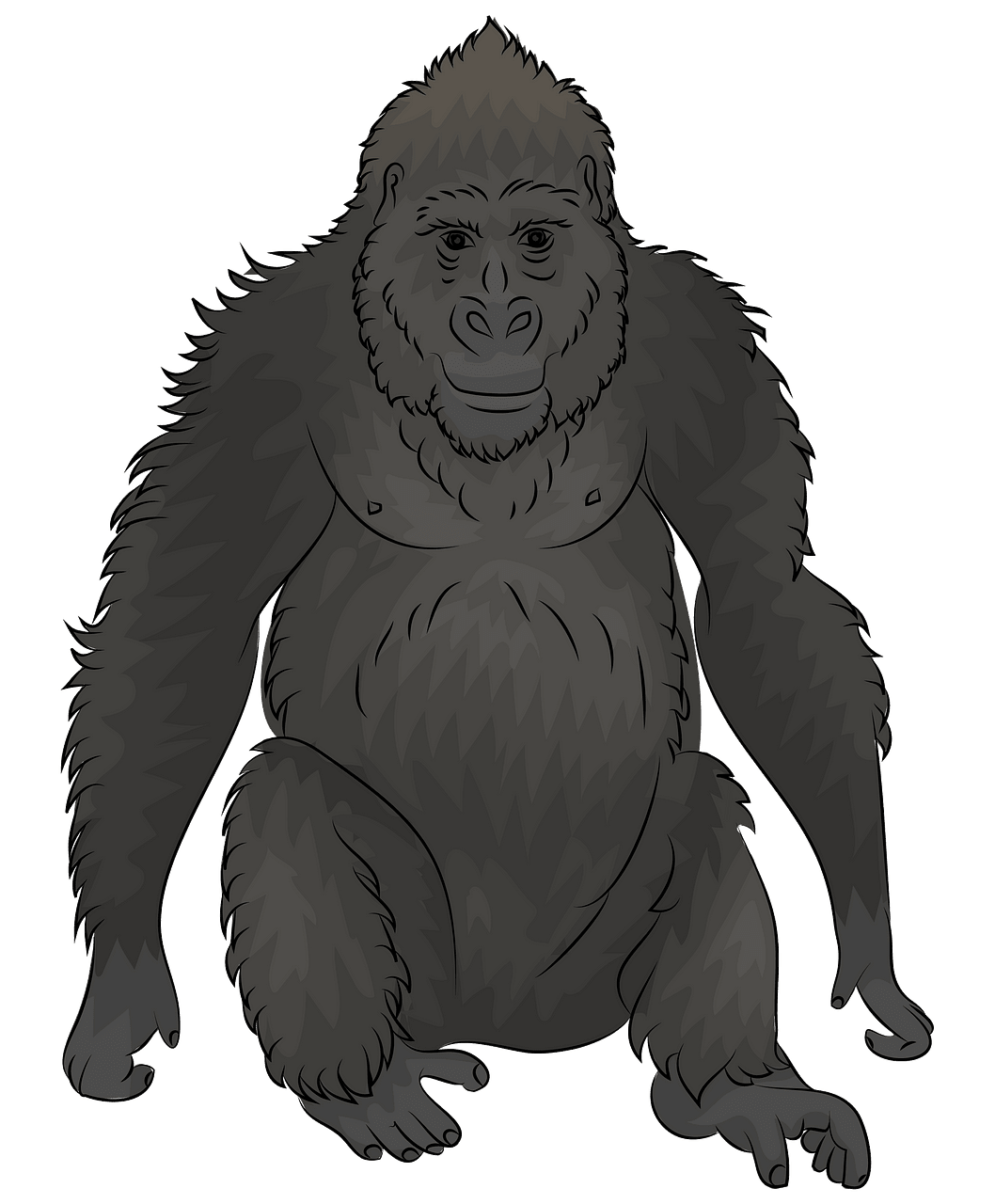 Gorilla clipart. Free download..