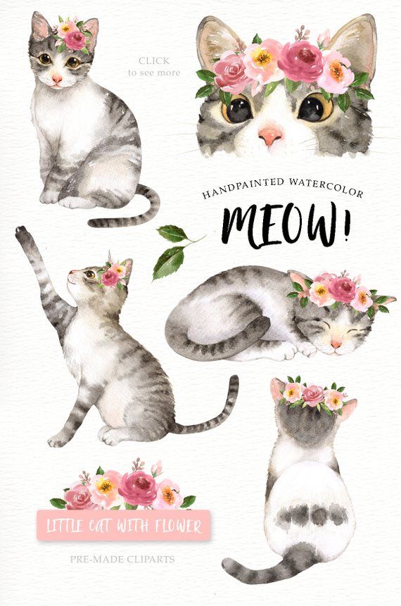 Meow! Gatto amante acquerello Cliparts, Woodland animali.