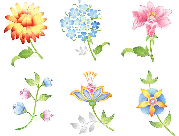 Garden Phlox Clip Art, Vector Images & Illustrations.