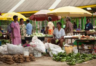 Challenging approaches to gender inequality.