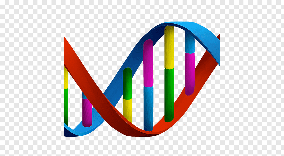 Double Helix, Dna, Nucleic Acid Double Helix, Biology.