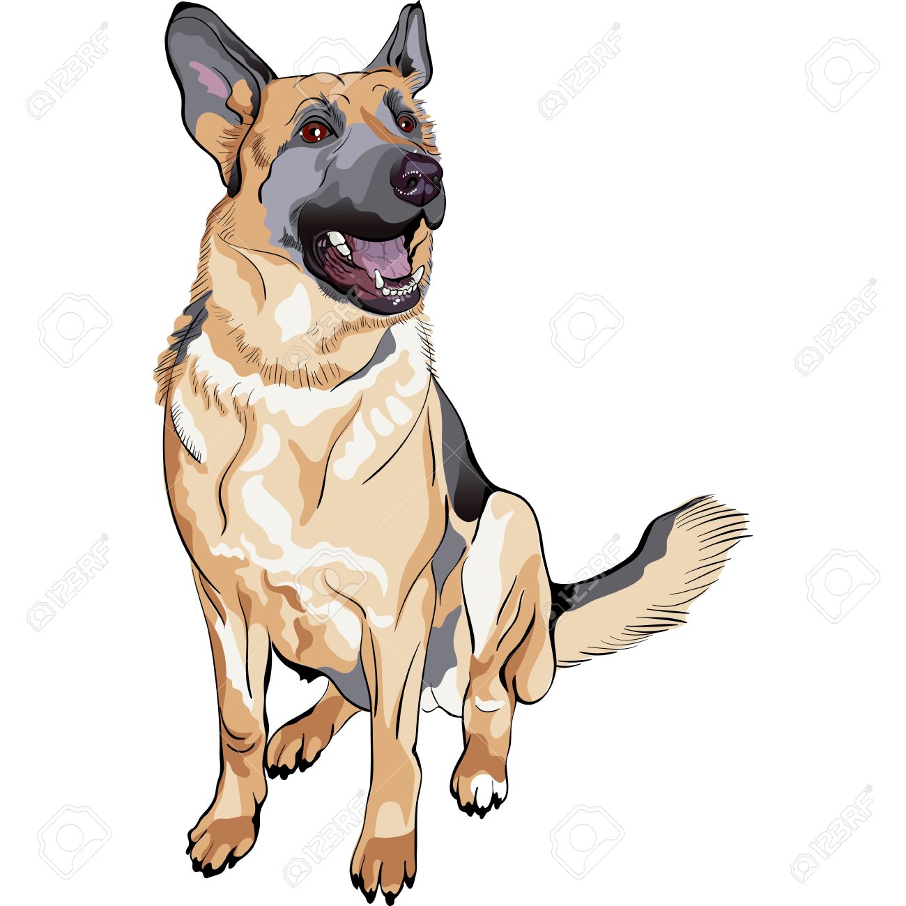 2,352 German Shepherd Stock Illustrations, Cliparts And Royalty.