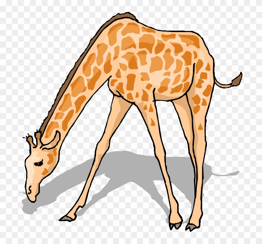 Free Giraffe Clipart.