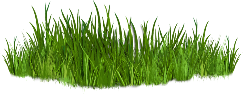 Clipart Grass & Grass Clip Art Images.