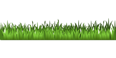 Grass Clipart Transparent Background (83+ images in Collection) Page 1.