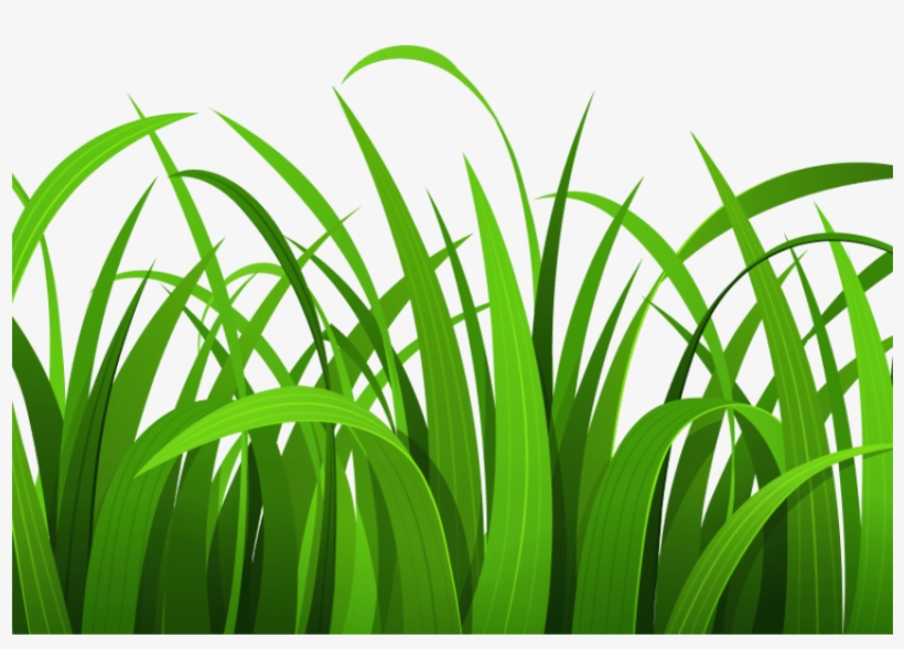 Best Grass Clipart.