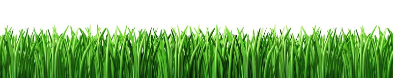 Free Lawn Cliparts, Download Free Clip Art, Free Clip Art on.