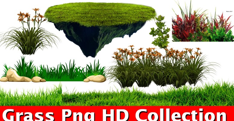 Grass png For Picsart And photoshop Editing New Collection HD.