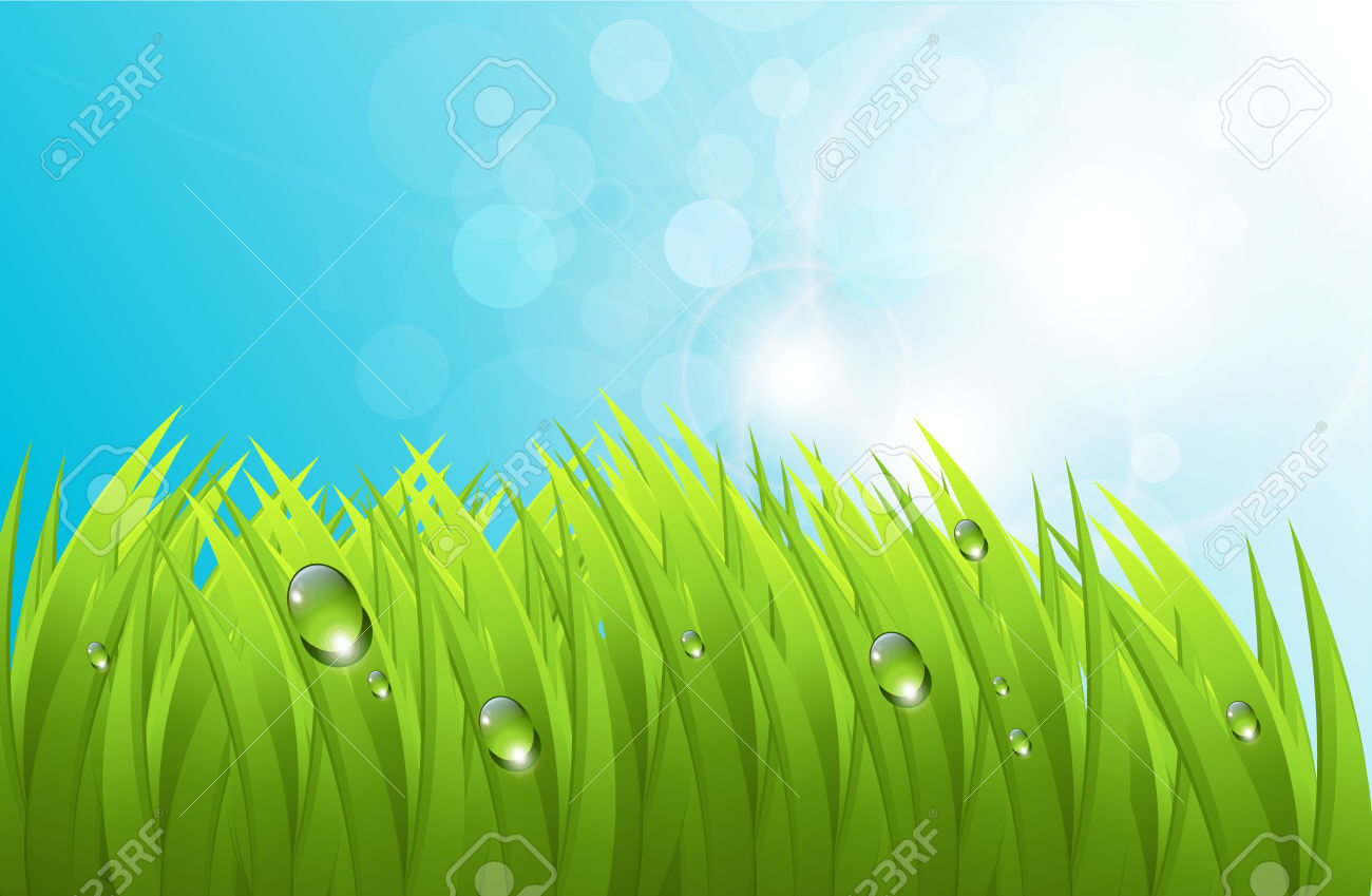 Realistic Grass With Dew, And Blue Sky, Fresh Spring Background.