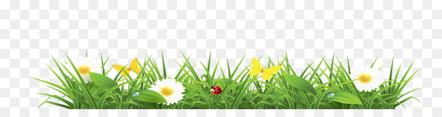 Spring Flower clipart.