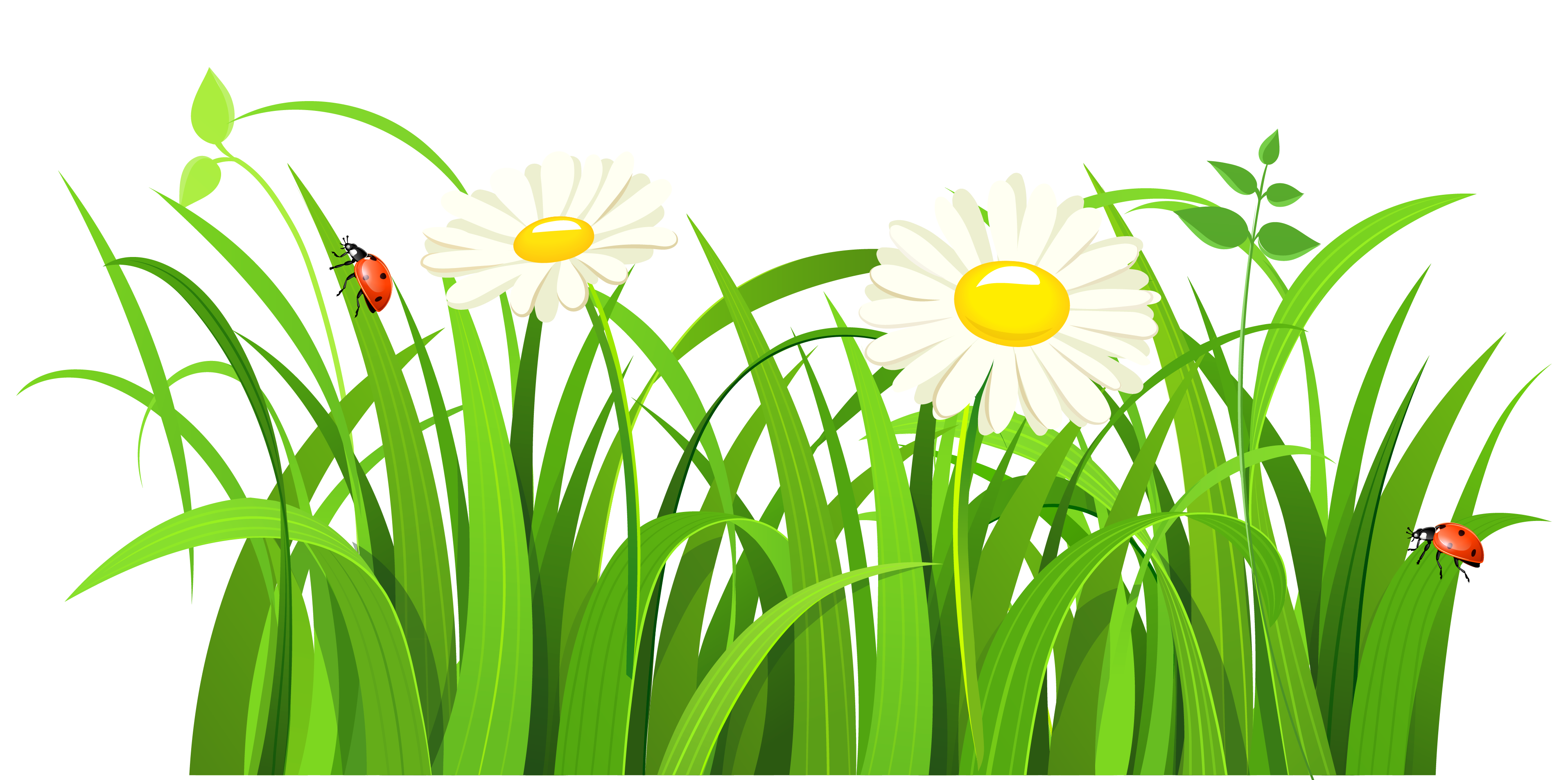 Grass clipart images.