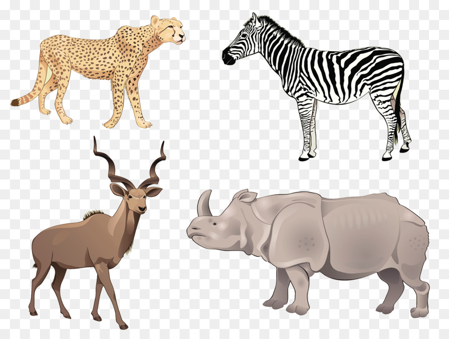 Zebra Cartoon clipart.