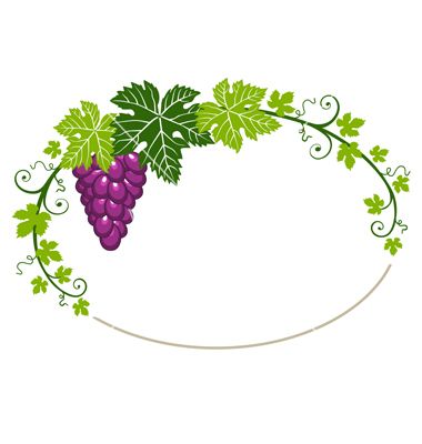 vector grapes leaves borders drawing.