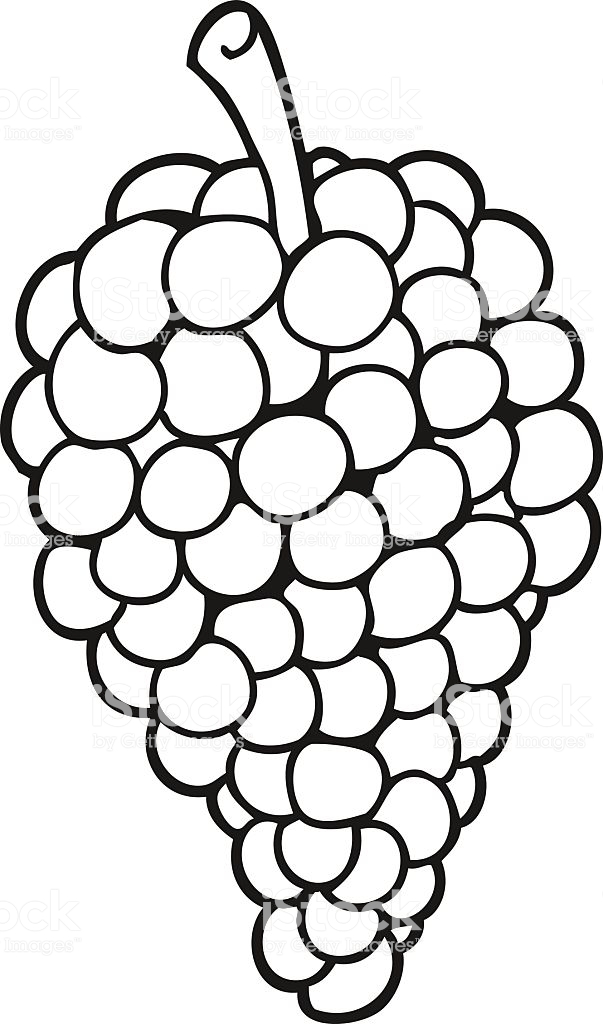 Black And White Cartoon Grapes Stock Illustration.