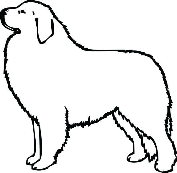 Great pyrenees dog clipart.