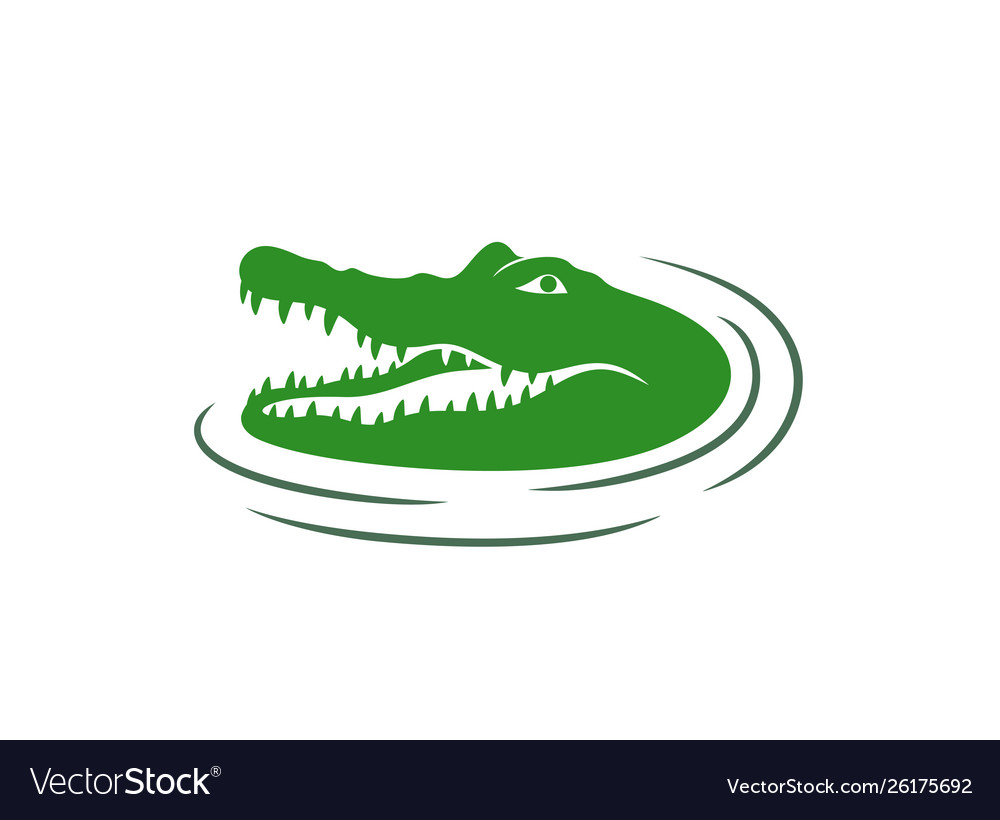 Crocodile.