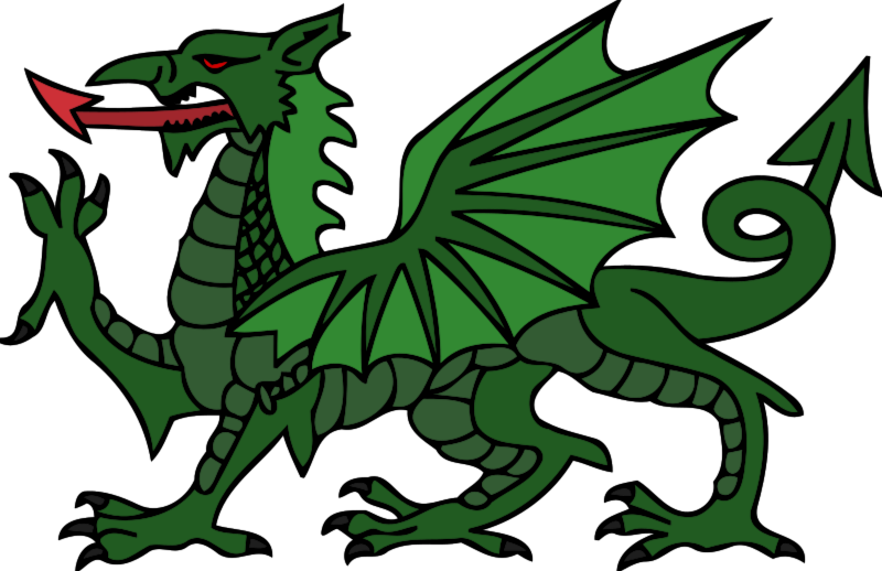 80+ Dragon Clipart.