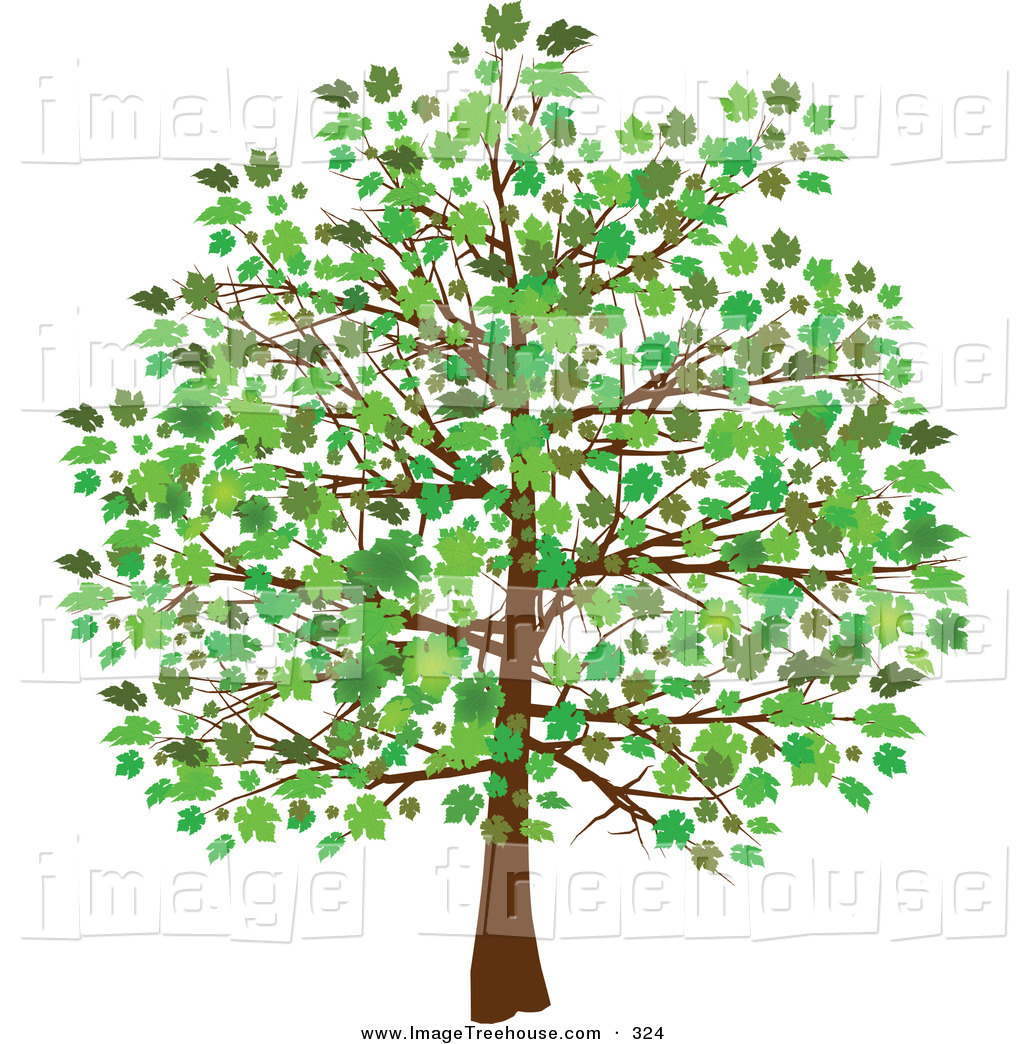 Free clip art trees and leaves.