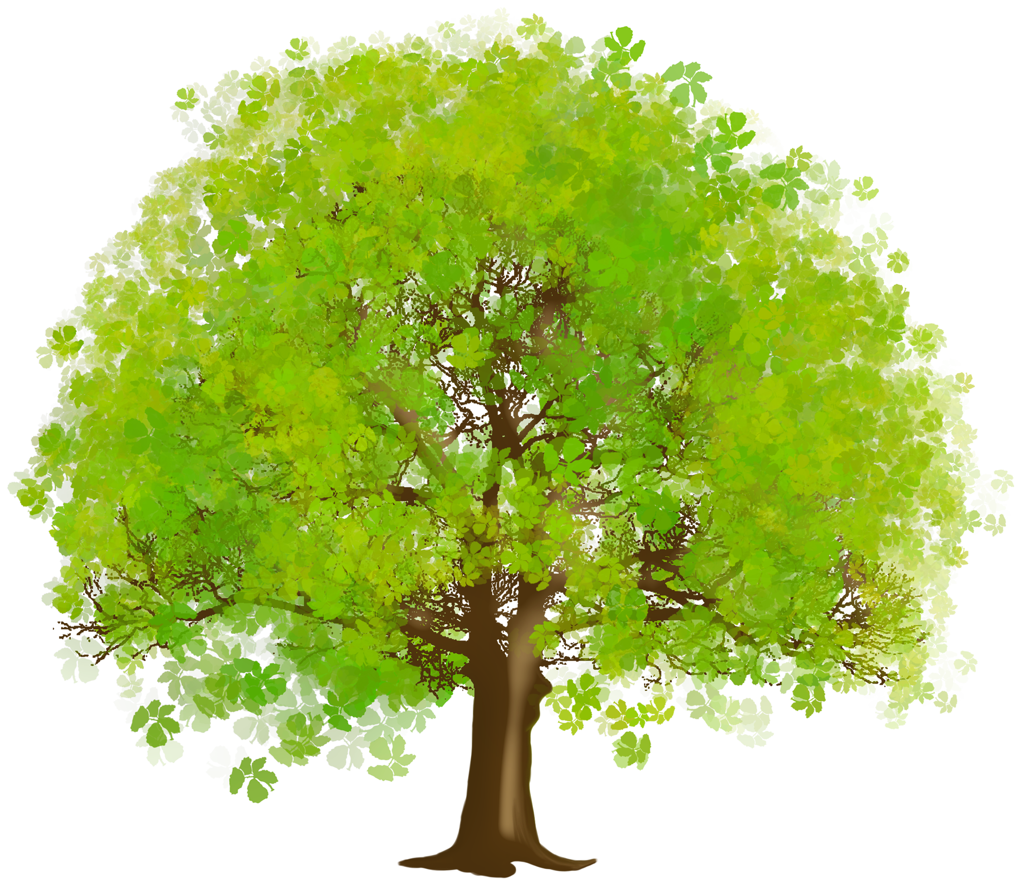 green tree clip art.