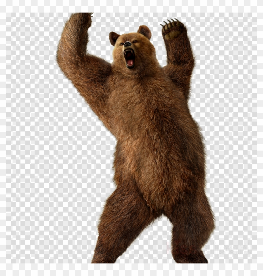 Download Grizzly Bear Transparent Png Clipart Grizzly.