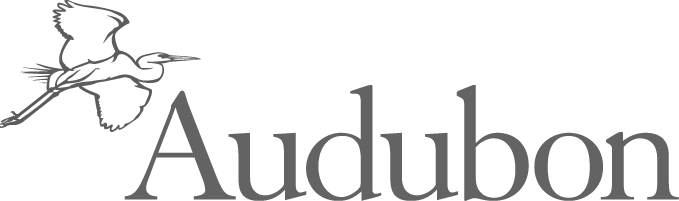 GuideStar nonprofit reports and Forms 990 for donors.