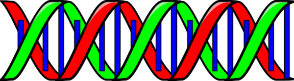 Free Dna Helix Clipart, Download Free Clip Art, Free Clip.