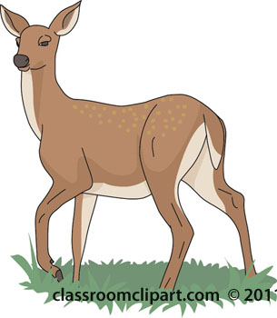 Doe Clipart.