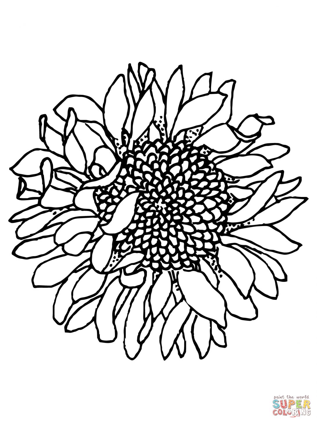 Top 38 Terrific Flower Coloring Book Pages Free Sunflower.